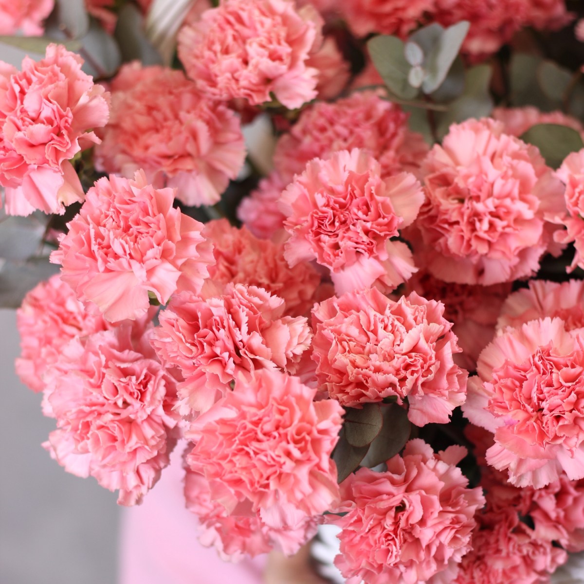 Korzina s cvetami rozovaya gvozdika 10